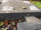 image of grave number 171369